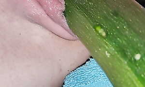 Penetration wet pussy by big cucumber
